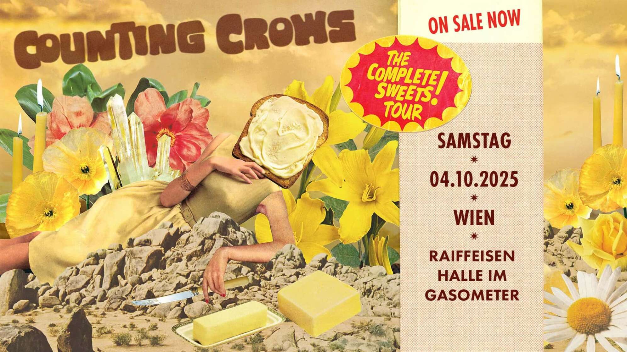 Tourplakat Counting Crows für den Wien-Termin