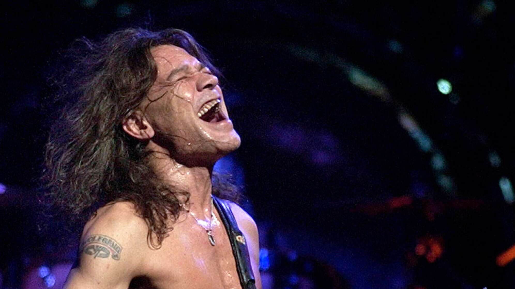 Eddie Van-Halen Portrait