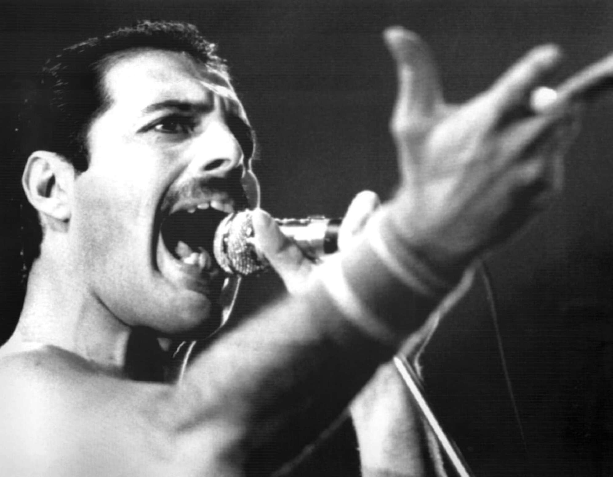 Freddie Mercury