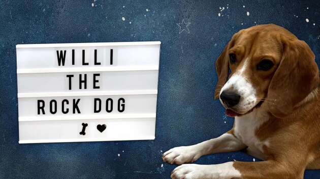 Willi - The Rock Dog